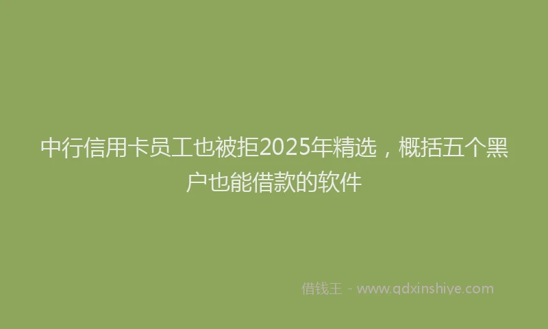 中行信用卡员工也被拒2025年精选，概括五个黑户也能借款的软件
