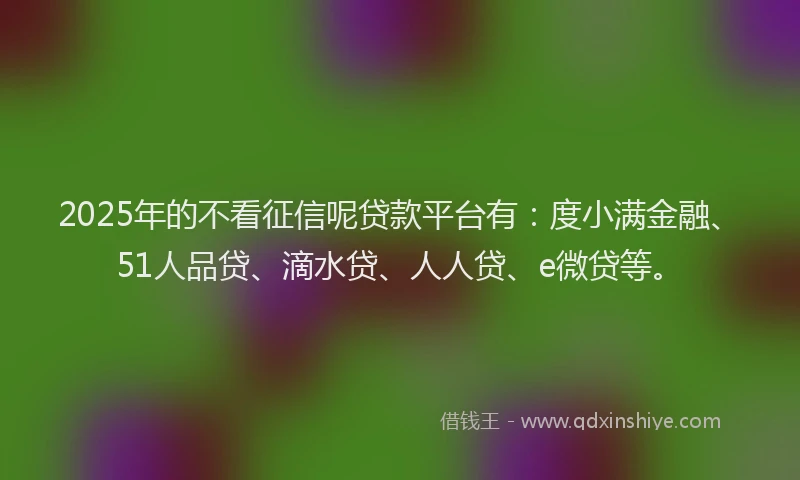 2025年的不看征信呢贷款平台有：度小满金融、51人品贷、滴水贷、人人贷、e微贷等。