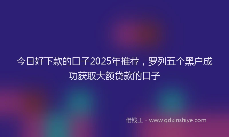 今日好下款的口子2025年推荐，罗列五个黑户成功获取大额贷款的口子