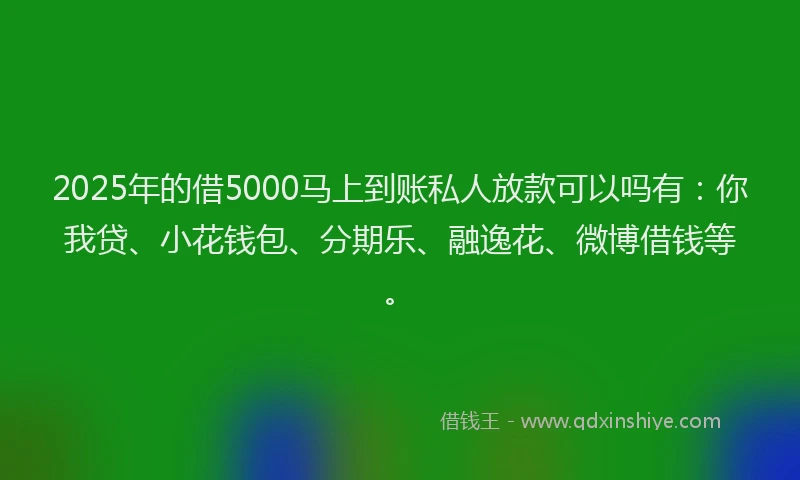 2025年的借5000马上到账私人放款可以吗有：你我贷、小花钱包、分期乐、融逸花、微博借钱等。