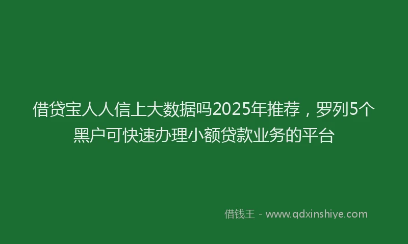 借贷宝人人信上大数据吗2025年推荐，罗列5个黑户可快速办理小额贷款业务的平台