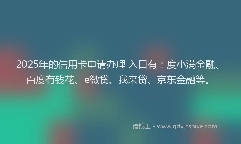 2025年的信用卡申请办理 入口有：度小满金融、百度有钱花、e微贷、我来贷、京东金融等。