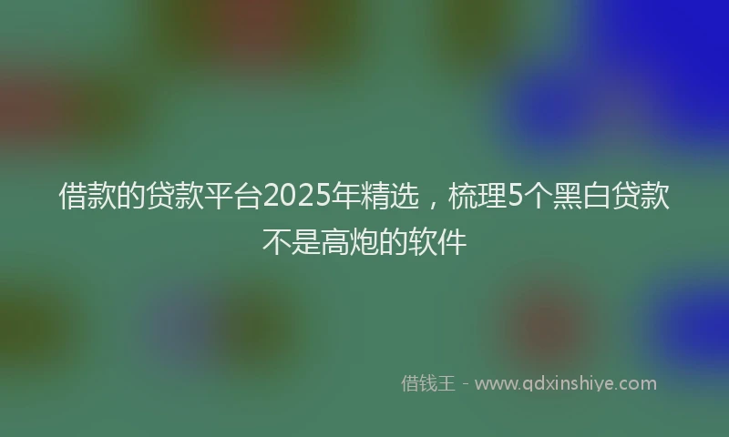 借款的贷款平台2025年精选，梳理5个黑白贷款不是高炮的软件