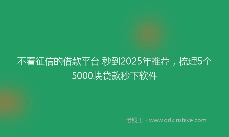 不看征信的借款平台 秒到2025年推荐，梳理5个5000块贷款秒下软件