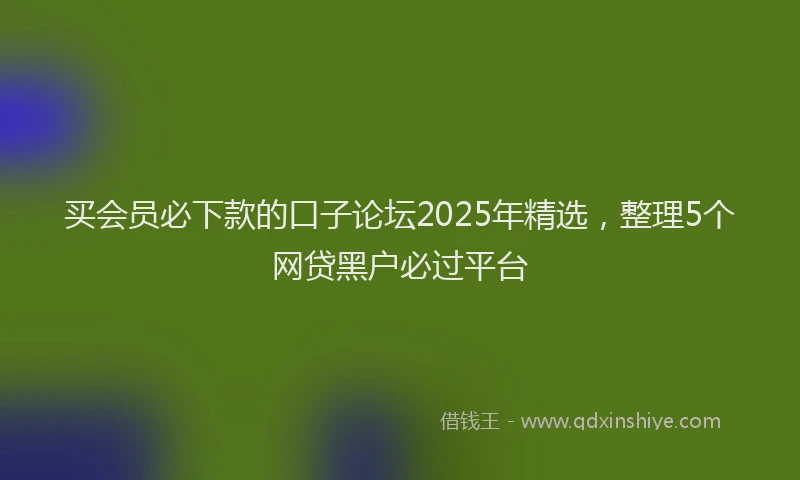 买会员必下款的口子论坛2025年精选，整理5个网贷黑户必过平台