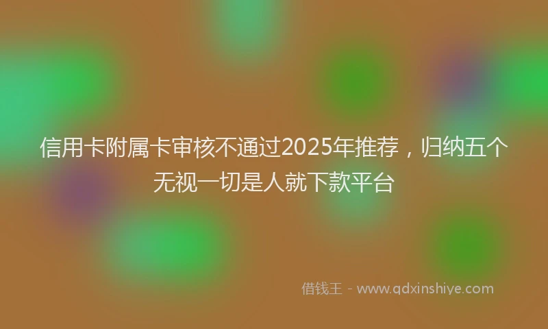 信用卡附属卡审核不通过2025年推荐，归纳五个无视一切是人就下款平台