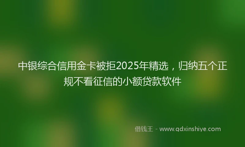 中银综合信用金卡被拒2025年精选，归纳五个正规不看征信的小额贷款软件