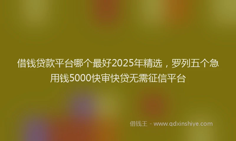 借钱贷款平台哪个最好2025年精选，罗列五个急用钱5000快审快贷无需征信平台