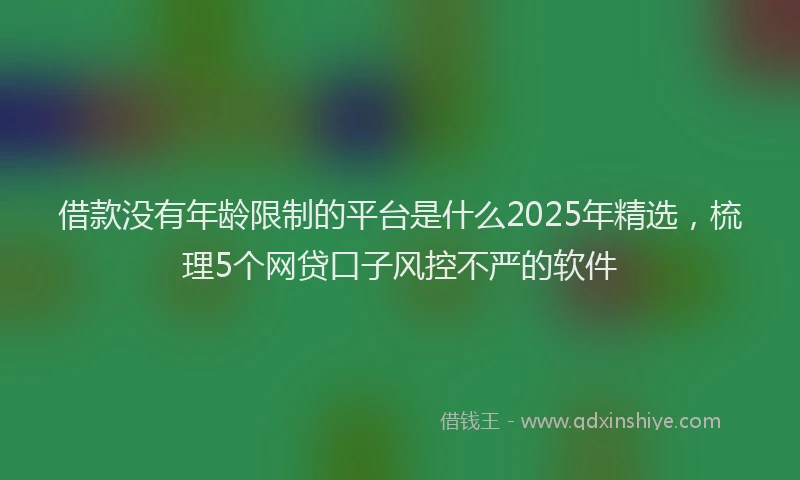 借款没有年龄限制的平台是什么2025年精选，梳理5个网贷口子风控不严的软件