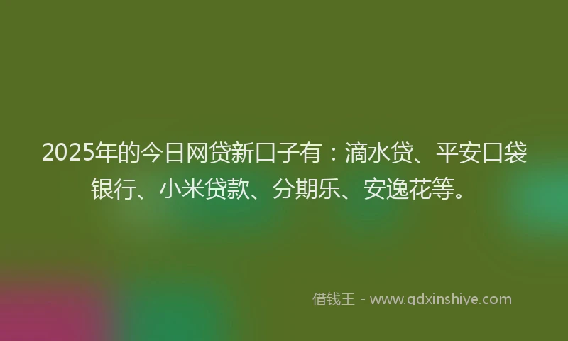2025年的今日网贷新口子有：滴水贷、平安口袋银行、小米贷款、分期乐、安逸花等。