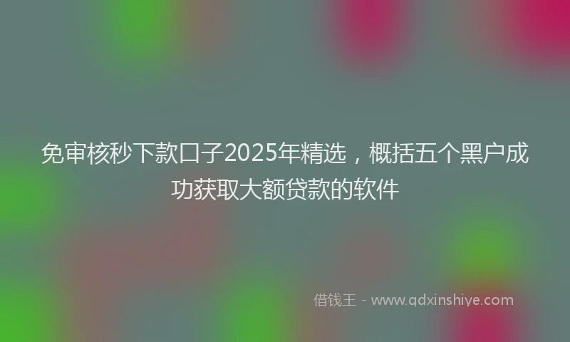 免审核秒下款口子2025年精选，概括五个黑户成功获取大额贷款的软件