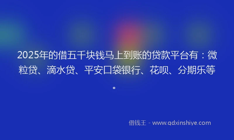 2025年的借五千块钱马上到账的贷款平台有：微粒贷、滴水贷、平安口袋银行、花呗、分期乐等。