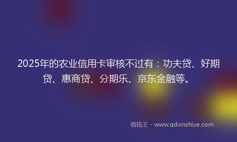 2025年的农业信用卡审核不过有：功夫贷、好期贷、惠商贷、分期乐、京东金融等。
