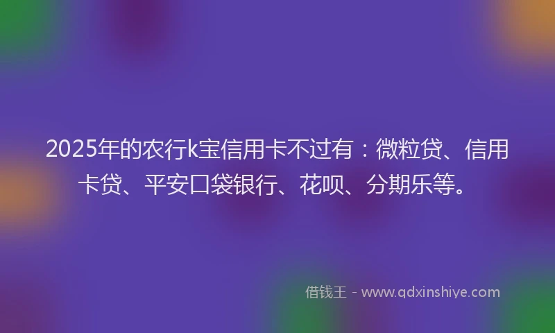 2025年的农行k宝信用卡不过有：微粒贷、信用卡贷、平安口袋银行、花呗、分期乐等。