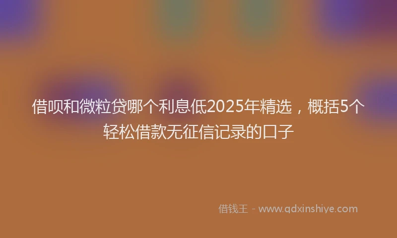 借呗和微粒贷哪个利息低2025年精选，概括5个轻松借款无征信记录的口子