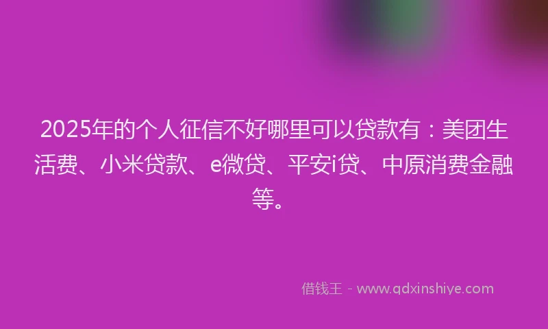 2025年的个人征信不好哪里可以贷款有：美团生活费、小米贷款、e微贷、平安i贷、中原消费金融等。