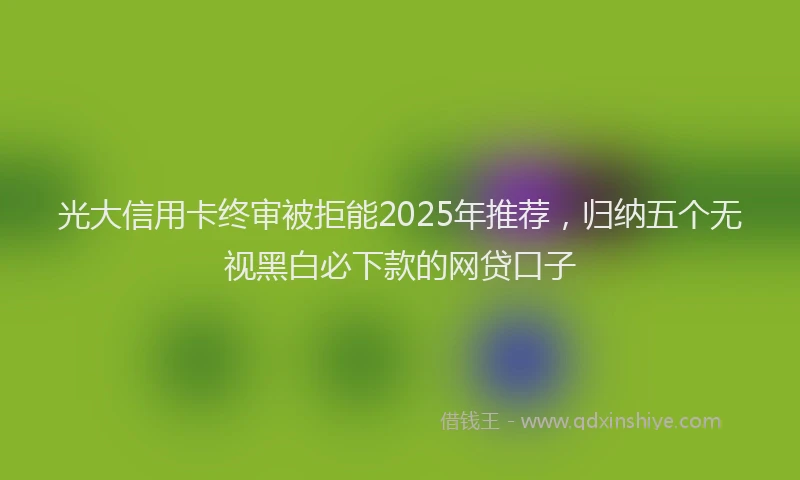 光大信用卡终审被拒能2025年推荐，归纳五个无视黑白必下款的网贷口子