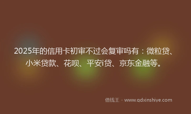 2025年的信用卡初审不过会复审吗有：微粒贷、小米贷款、花呗、平安i贷、京东金融等。