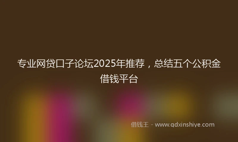 专业网贷口子论坛2025年推荐，总结五个公积金借钱平台