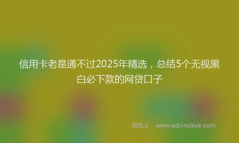 信用卡老是通不过2025年精选，总结5个无视黑白必下款的网贷口子