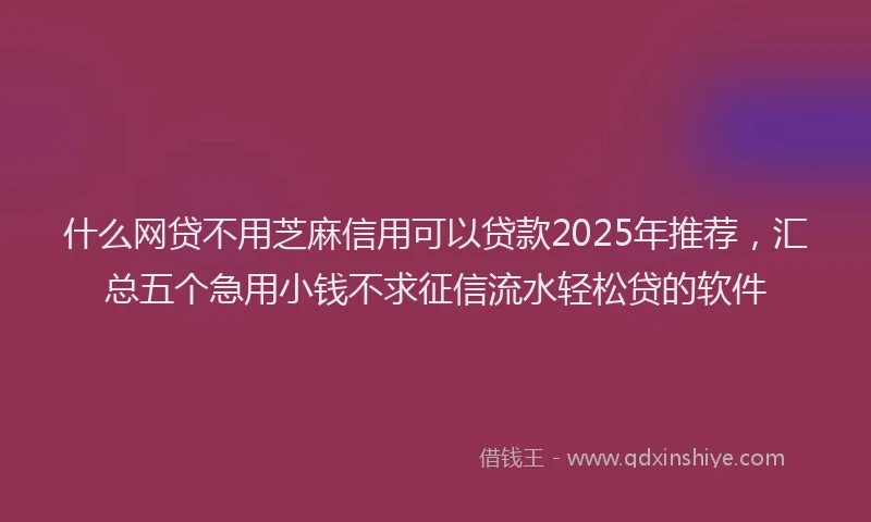 什么网贷不用芝麻信用可以贷款2025年推荐，汇总五个急用小钱不求征信流水轻松贷的软件