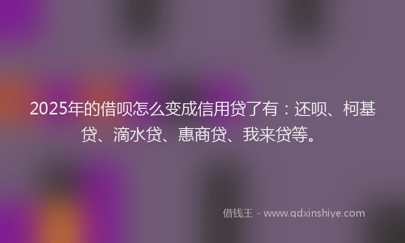 2025年的借呗怎么变成信用贷了有：还呗、柯基贷、滴水贷、惠商贷、我来贷等。