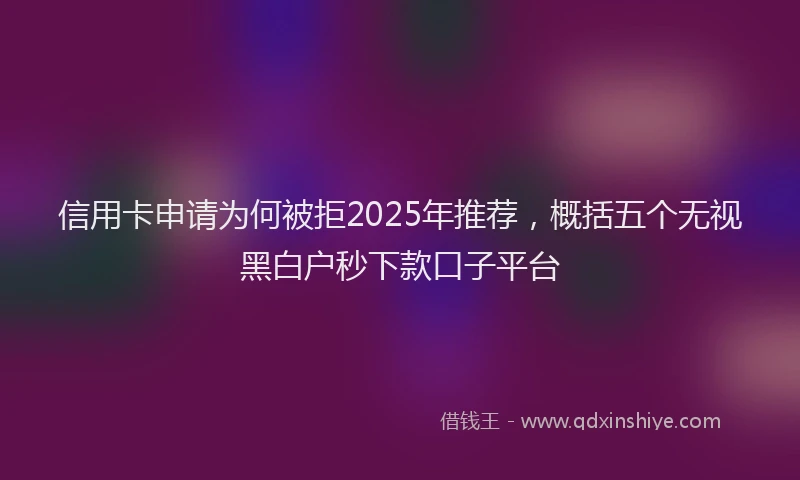 信用卡申请为何被拒2025年推荐，概括五个无视黑白户秒下款口子平台