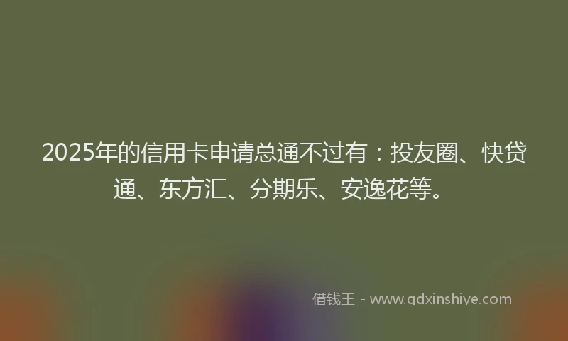 2025年的信用卡申请总通不过有：投友圈、快贷通、东方汇、分期乐、安逸花等。