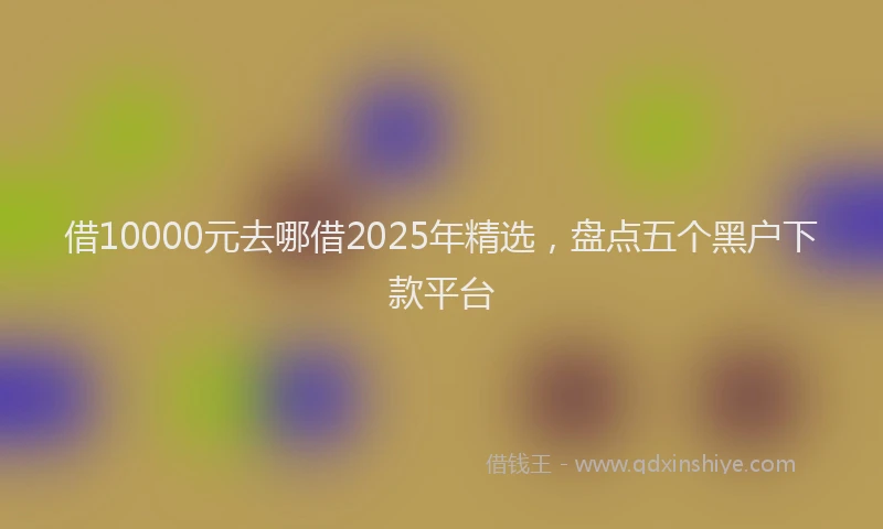 借10000元去哪借2025年精选，盘点五个黑户下款平台