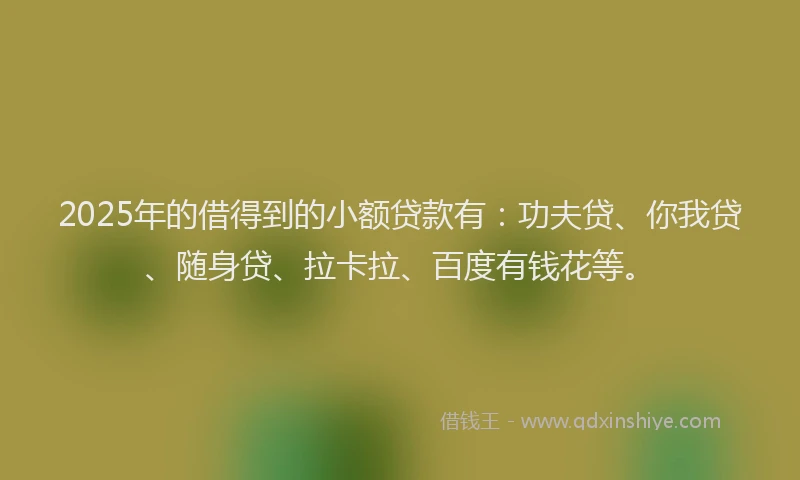 2025年的借得到的小额贷款有：功夫贷、你我贷、随身贷、拉卡拉、百度有钱花等。