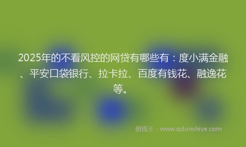 2025年的不看风控的网贷有哪些有：度小满金融、平安口袋银行、拉卡拉、百度有钱花、融逸花等。