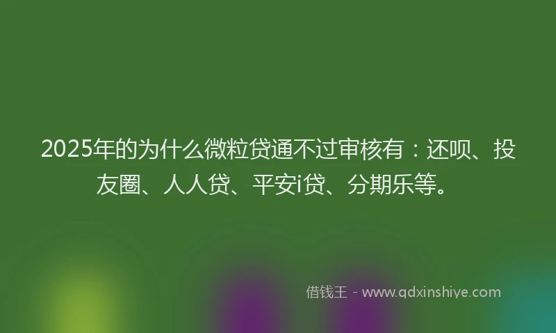2025年的为什么微粒贷通不过审核有：还呗、投友圈、人人贷、平安i贷、分期乐等。