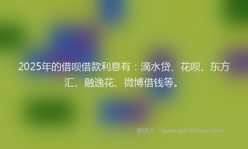 2025年的借呗借款利息有：滴水贷、花呗、东方汇、融逸花、微博借钱等。