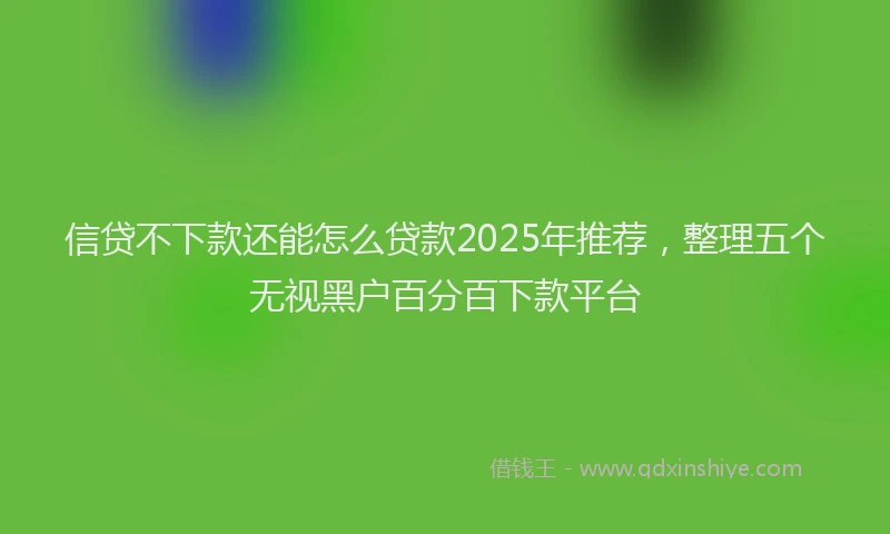 信贷不下款还能怎么贷款2025年推荐，整理五个无视黑户百分百下款平台