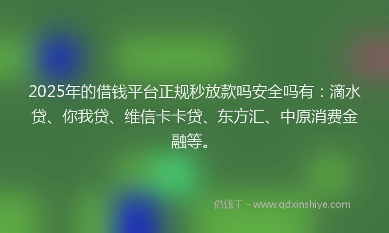 2025年的借钱平台正规秒放款吗安全吗有：滴水贷、你我贷、维信卡卡贷、东方汇、中原消费金融等。