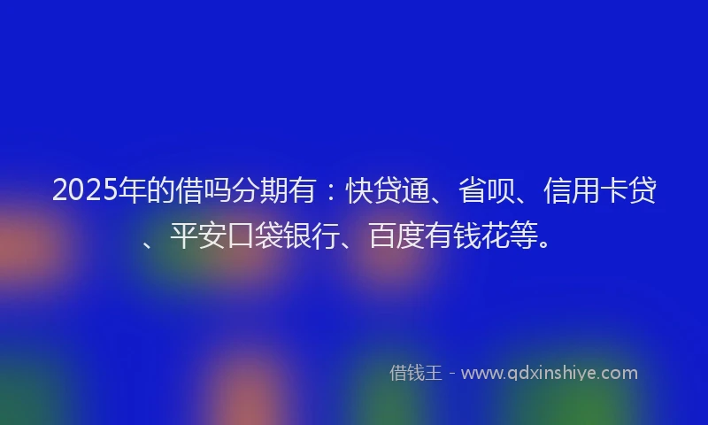 2025年的借吗分期有：快贷通、省呗、信用卡贷、平安口袋银行、百度有钱花等。