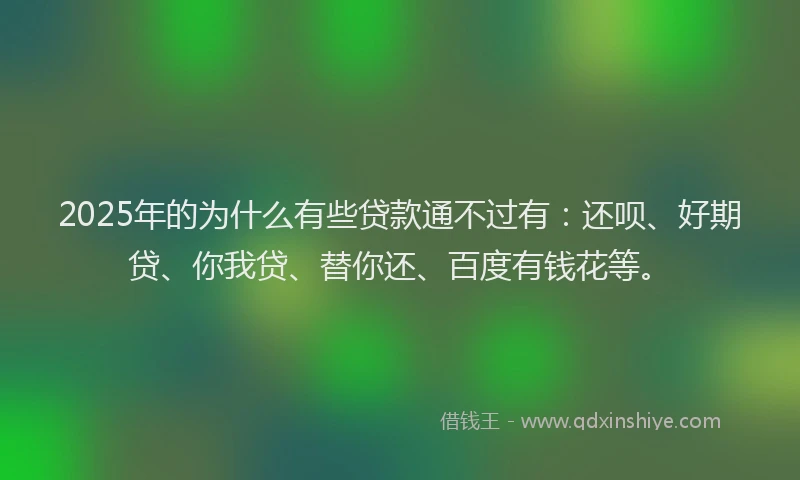 2025年的为什么有些贷款通不过有：还呗、好期贷、你我贷、替你还、百度有钱花等。