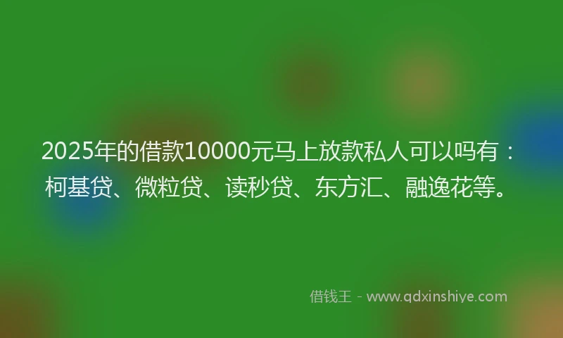 2025年的借款10000元马上放款私人可以吗有：柯基贷、微粒贷、读秒贷、东方汇、融逸花等。