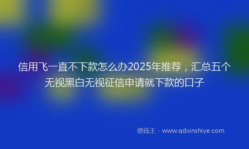 信用飞一直不下款怎么办2025年推荐，汇总五个无视黑白无视征信申请就下款的口子