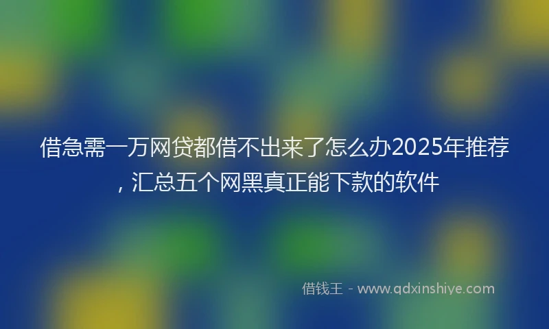 借急需一万网贷都借不出来了怎么办2025年推荐，汇总五个网黑真正能下款的软件