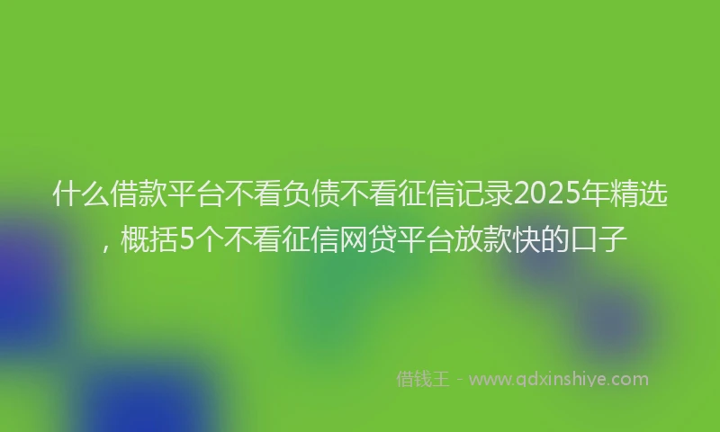什么借款平台不看负债不看征信记录2025年精选，概括5个不看征信网贷平台放款快的口子