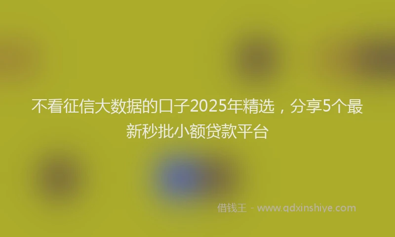 不看征信大数据的口子2025年精选，分享5个最新秒批小额贷款平台