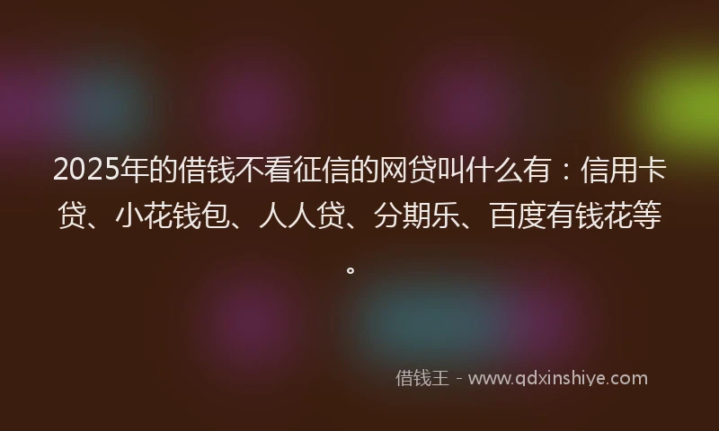 2025年的借钱不看征信的网贷叫什么有：信用卡贷、小花钱包、人人贷、分期乐、百度有钱花等。
