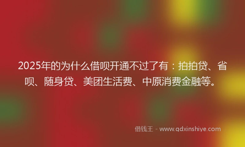 2025年的为什么借呗开通不过了有：拍拍贷、省呗、随身贷、美团生活费、中原消费金融等。