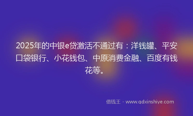 2025年的中银e贷激活不通过有：洋钱罐、平安口袋银行、小花钱包、中原消费金融、百度有钱花等。