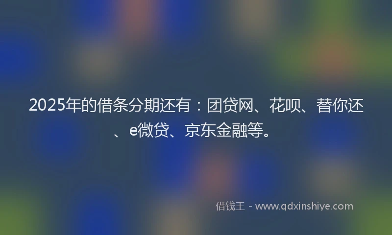 2025年的借条分期还有：团贷网、花呗、替你还、e微贷、京东金融等。