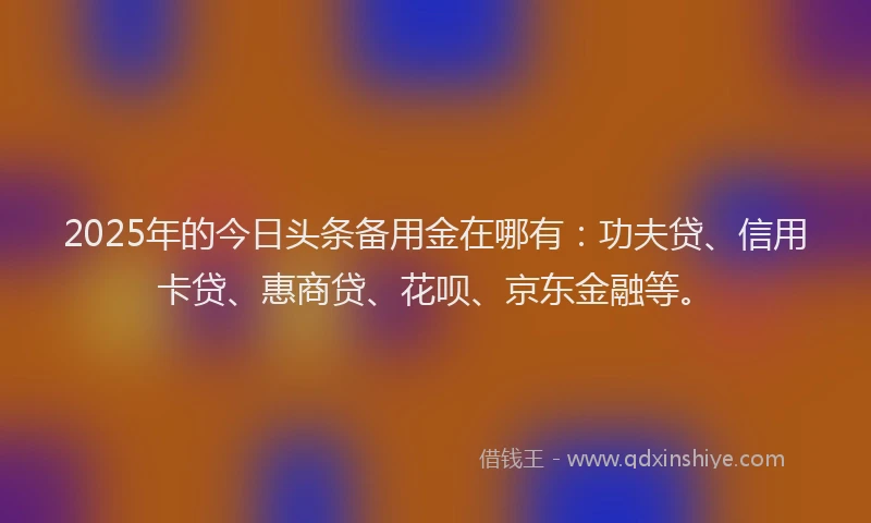 2025年的今日头条备用金在哪有：功夫贷、信用卡贷、惠商贷、花呗、京东金融等。