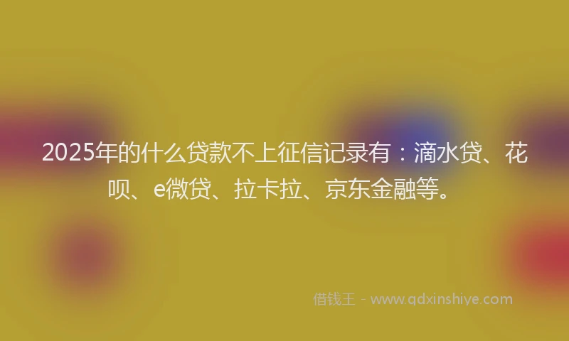 2025年的什么贷款不上征信记录有：滴水贷、花呗、e微贷、拉卡拉、京东金融等。