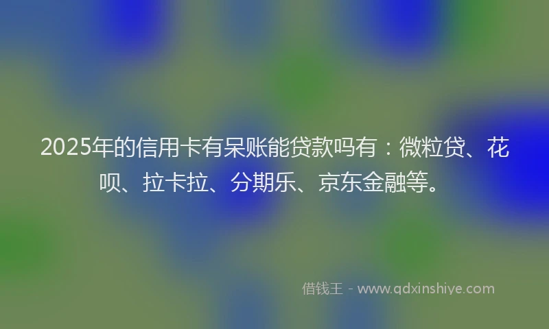 2025年的信用卡有呆账能贷款吗有：微粒贷、花呗、拉卡拉、分期乐、京东金融等。