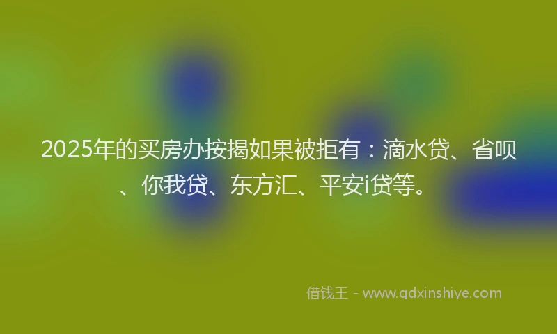 2025年的买房办按揭如果被拒有：滴水贷、省呗、你我贷、东方汇、平安i贷等。